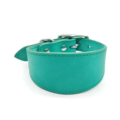 https://cdn.shopify.com/s/files/1/0647/9170/7830/files/collier-chiot-whippet-4622503.webp?v=1777923677