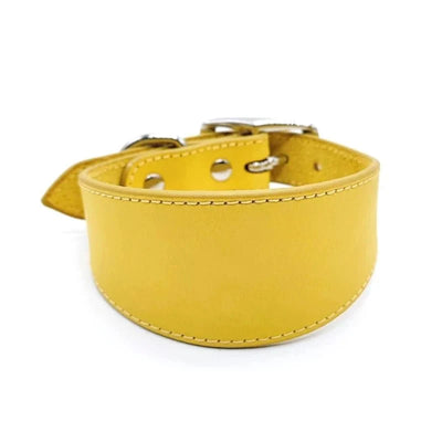 https://cdn.shopify.com/s/files/1/0647/9170/7830/files/collier-chiot-whippet-5165528.webp?v=1777923678