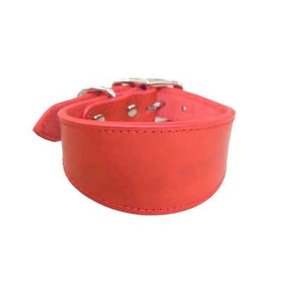https://cdn.shopify.com/s/files/1/0647/9170/7830/files/collier-chiot-whippet-6610777.webp?v=1777923678
