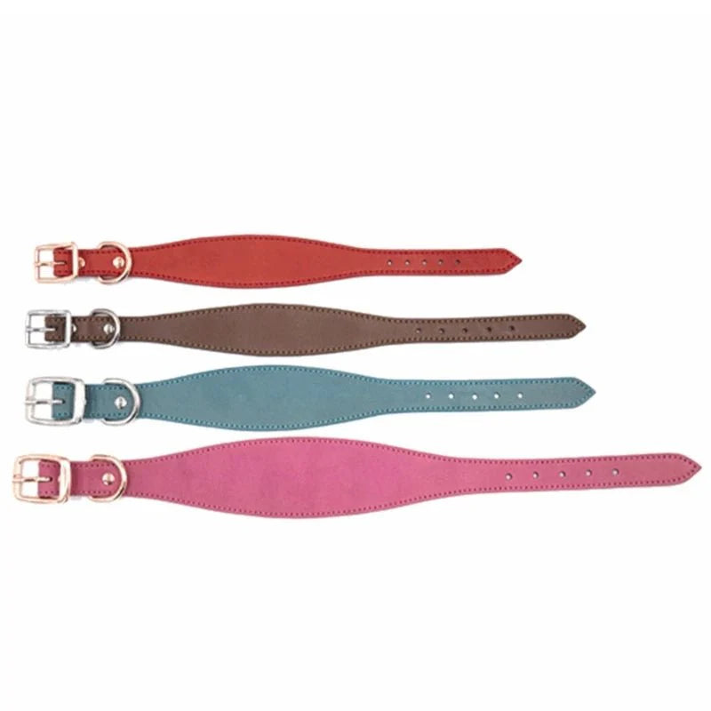 https://cdn.shopify.com/s/files/1/0647/9170/7830/files/collier-chiot-whippet-2134136.webp?v=1777923678