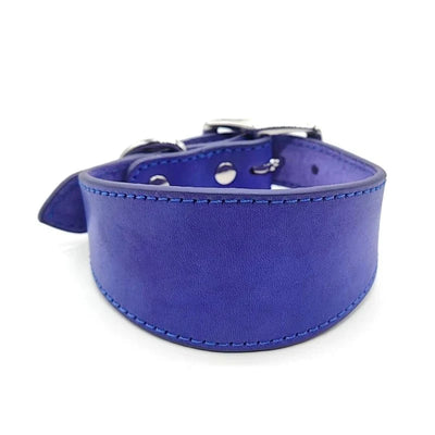 https://cdn.shopify.com/s/files/1/0647/9170/7830/files/collier-chiot-whippet-6890315.webp?v=1777923677
