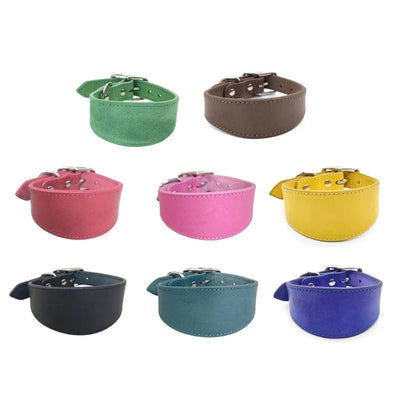 https://cdn.shopify.com/s/files/1/0647/9170/7830/files/collier-chiot-whippet-7175159.webp?v=1777923787