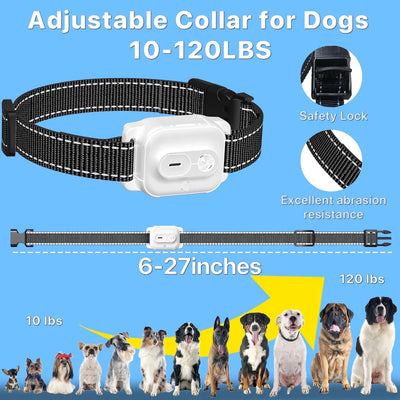 https://cdn.shopify.com/s/files/1/0647/9170/7830/files/collier-citronnelle-pour-chien-4562257.webp?v=1777923548