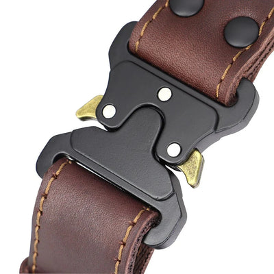 https://cdn.shopify.com/s/files/1/0647/9170/7830/files/collier-cuir-chien-avec-poignee-9484351.webp?v=1777923494