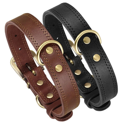 https://cdn.shopify.com/s/files/1/0647/9170/7830/files/collier-cuir-pour-chien-1288158.webp?v=1777924334