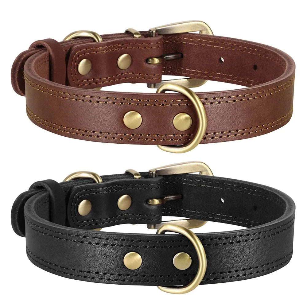 https://cdn.shopify.com/s/files/1/0647/9170/7830/files/collier-cuir-pour-chien-9217280.webp?v=1777924335