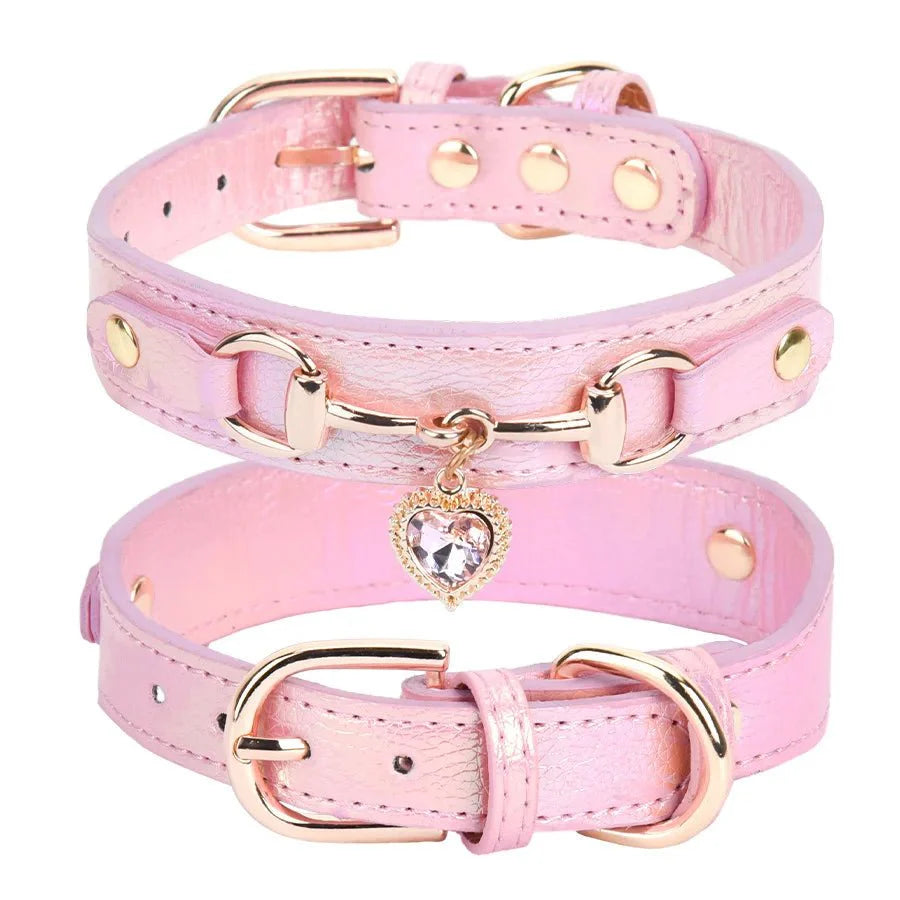 https://cdn.shopify.com/s/files/1/0647/9170/7830/files/collier-de-chien-femme-5432852.webp?v=1777923729