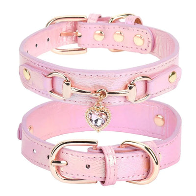 https://cdn.shopify.com/s/files/1/0647/9170/7830/files/collier-de-chien-femme-5432852.webp?v=1777923729