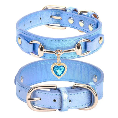 https://cdn.shopify.com/s/files/1/0647/9170/7830/files/collier-de-chien-femme-9420882.webp?v=1777923729