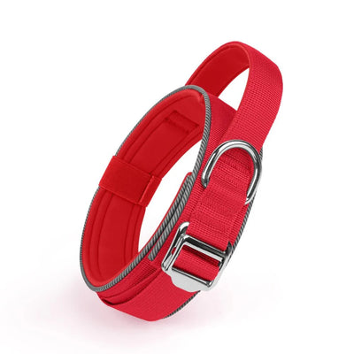 https://cdn.shopify.com/s/files/1/0647/9170/7830/files/collier-de-dressage-chiot-4283755.webp?v=1777924035