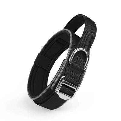 https://cdn.shopify.com/s/files/1/0647/9170/7830/files/collier-de-dressage-chiot-4637527.webp?v=1777924035
