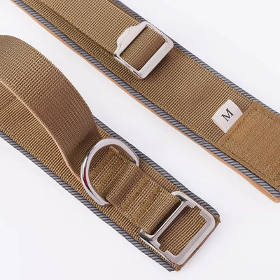 https://cdn.shopify.com/s/files/1/0647/9170/7830/files/collier-de-dressage-chiot-5141130.webp?v=1777924036