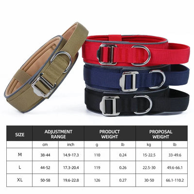 https://cdn.shopify.com/s/files/1/0647/9170/7830/files/collier-de-dressage-chiot-8443821.webp?v=1777924036