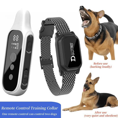 https://cdn.shopify.com/s/files/1/0647/9170/7830/files/collier-de-dressage-numerique-pour-chien-3614261.webp?v=1777924508