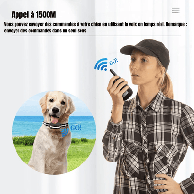 https://cdn.shopify.com/s/files/1/0647/9170/7830/files/collier-dentrainement-anti-aboiement-pour-chien-2175157.png?v=1777925049