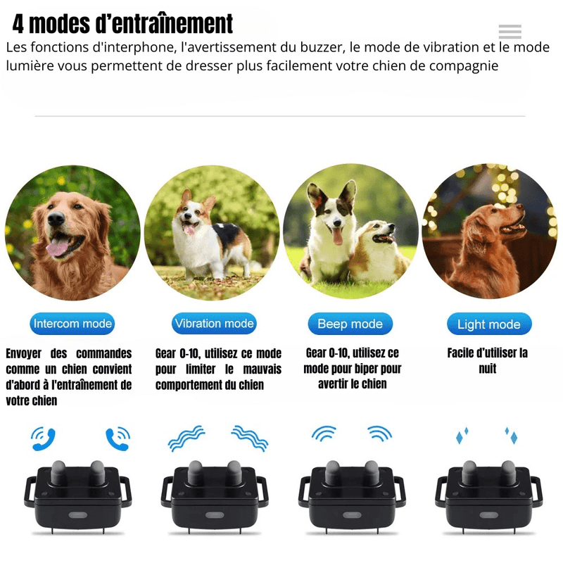 https://cdn.shopify.com/s/files/1/0647/9170/7830/files/collier-dentrainement-anti-aboiement-pour-chien-9453675.png?v=1777925049