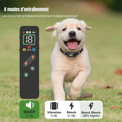 https://cdn.shopify.com/s/files/1/0647/9170/7830/files/collier-dentrainement-pour-chien-1955502.jpg?v=1777924571