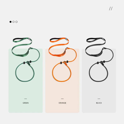 https://cdn.shopify.com/s/files/1/0647/9170/7830/files/collier-education-chiot-3228741.webp?v=1777923731