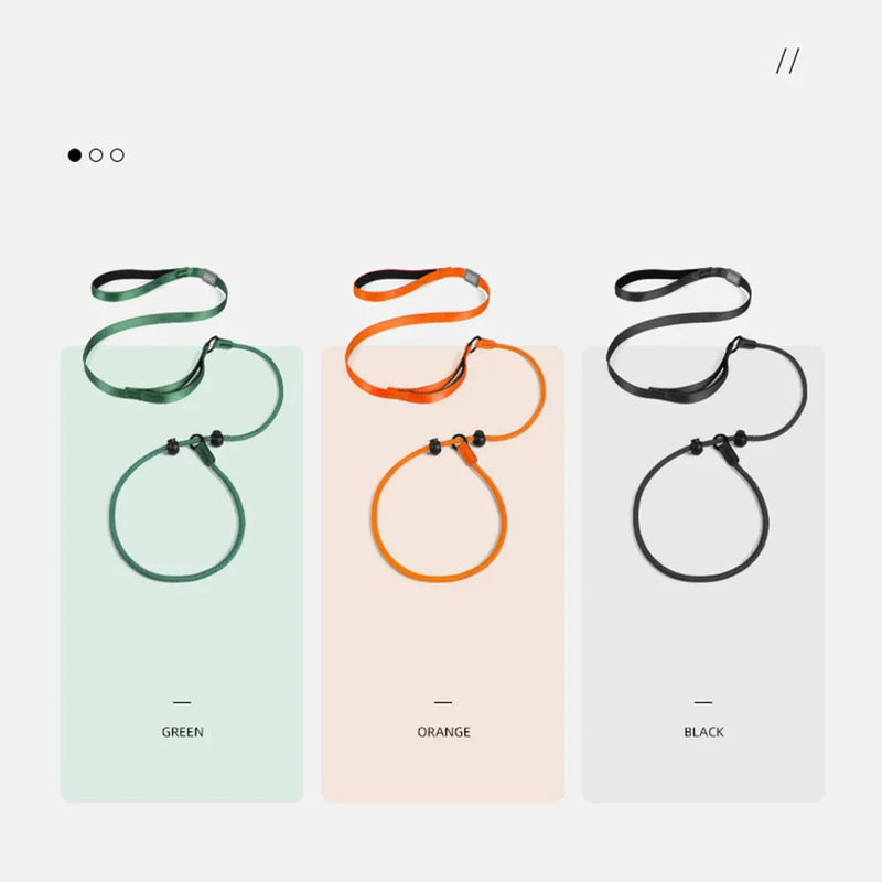 https://cdn.shopify.com/s/files/1/0647/9170/7830/files/collier-education-chiot-7459687.webp?v=1777923731
