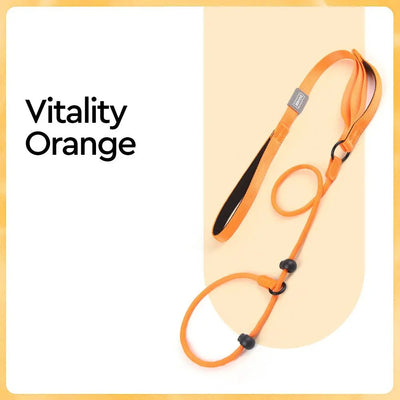 https://cdn.shopify.com/s/files/1/0647/9170/7830/files/collier-education-chiot-8943395.webp?v=1777923731
