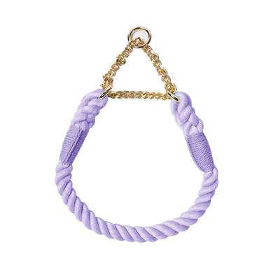 https://cdn.shopify.com/s/files/1/0647/9170/7830/files/collier-en-corde-pour-chien-1751798.webp?v=1777923617