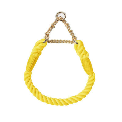 https://cdn.shopify.com/s/files/1/0647/9170/7830/files/collier-en-corde-pour-chien-1820342.webp?v=1777923379