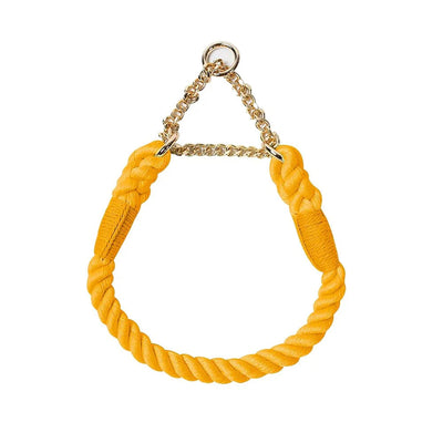 https://cdn.shopify.com/s/files/1/0647/9170/7830/files/collier-en-corde-pour-chien-4302496.webp?v=1777923378