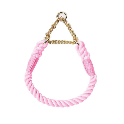 https://cdn.shopify.com/s/files/1/0647/9170/7830/files/collier-en-corde-pour-chien-9033723.webp?v=1777923617