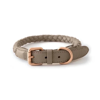 https://cdn.shopify.com/s/files/1/0647/9170/7830/files/collier-en-cuir-rond-pour-chien-6044083.webp?v=1777923434