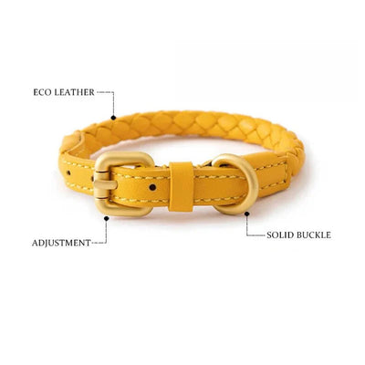 https://cdn.shopify.com/s/files/1/0647/9170/7830/files/collier-en-cuir-rond-pour-chien-8961541.webp?v=1777923433