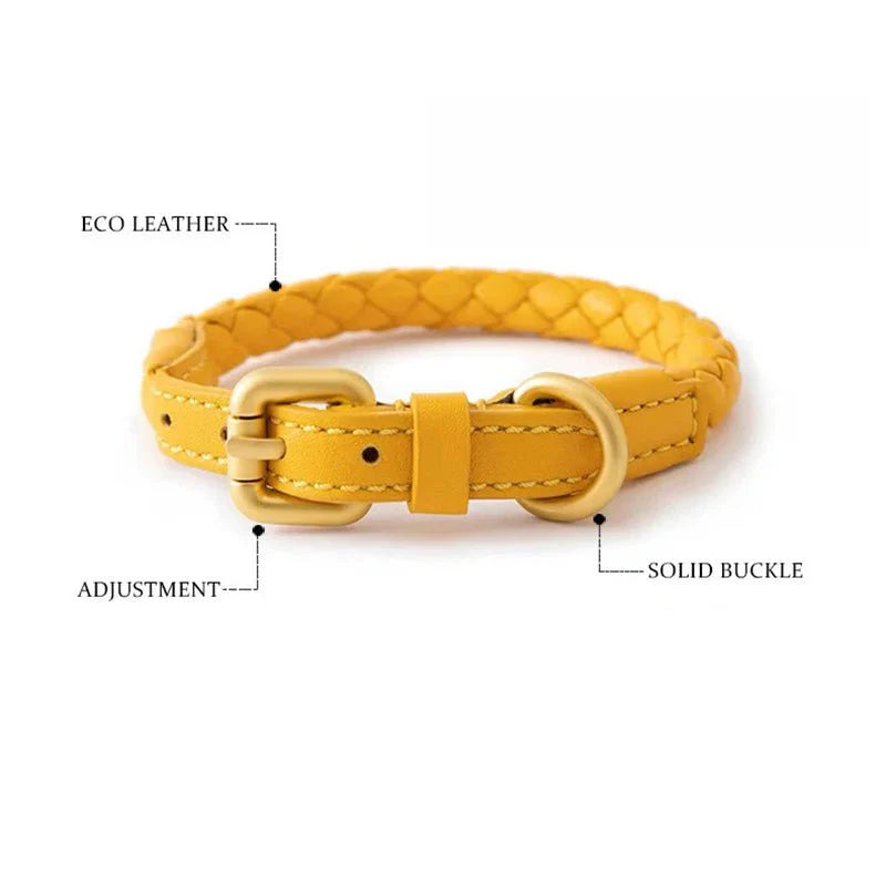 https://cdn.shopify.com/s/files/1/0647/9170/7830/files/collier-en-cuir-rond-pour-chien-6893905.webp?v=1777923433