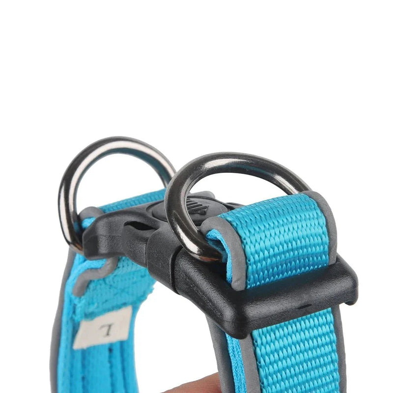 https://cdn.shopify.com/s/files/1/0647/9170/7830/files/collier-etrangleur-anti-fugue-pour-promenade-9849095.webp?v=1777924455