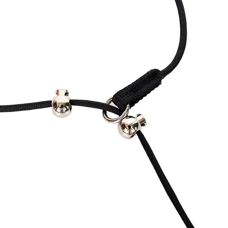 https://cdn.shopify.com/s/files/1/0647/9170/7830/files/collier-etrangleur-de-dressage-pour-grand-chien-1985914.webp?v=1777924388
