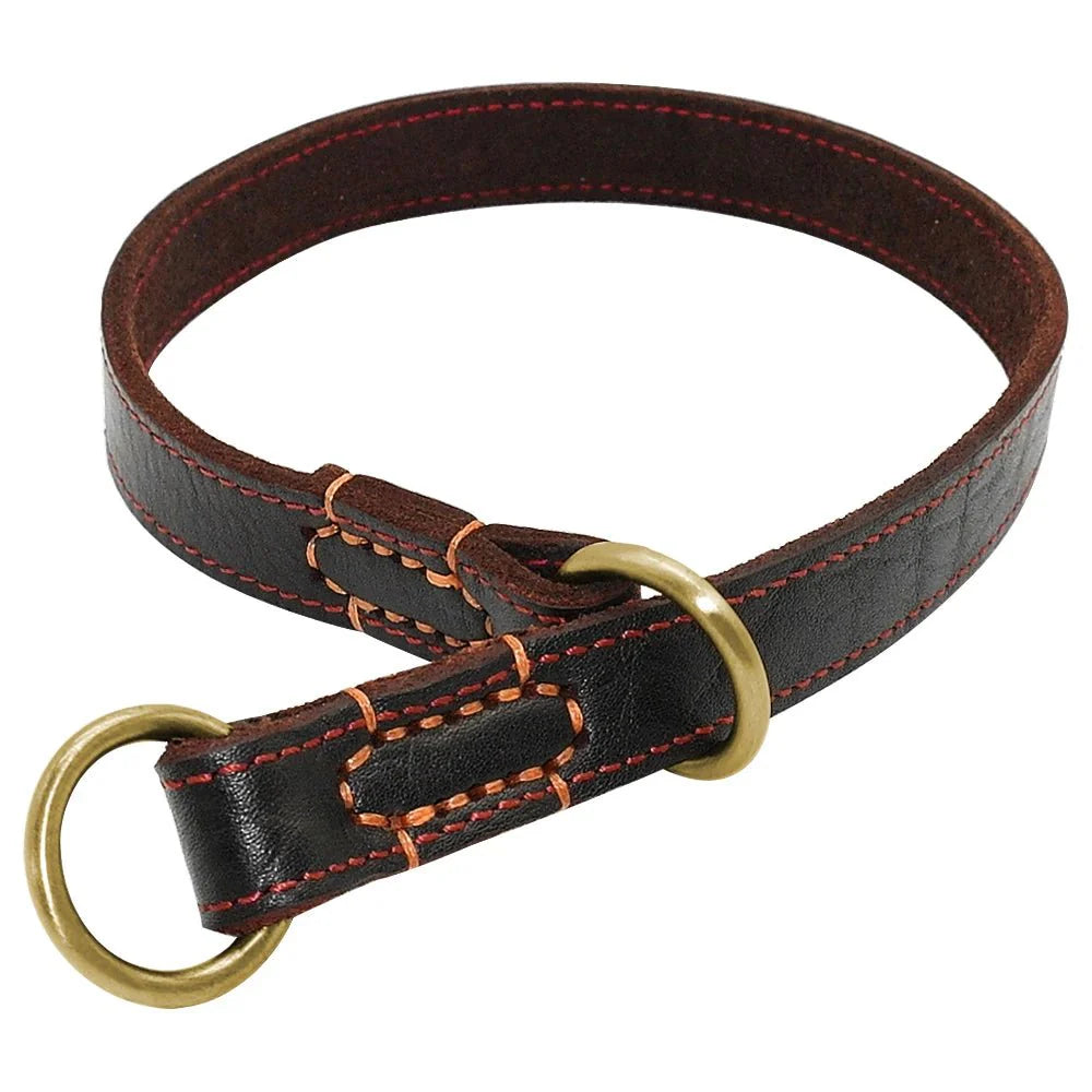 https://cdn.shopify.com/s/files/1/0647/9170/7830/files/collier-etrangleur-en-cuir-pour-grand-chien-2961475.webp?v=1777924273