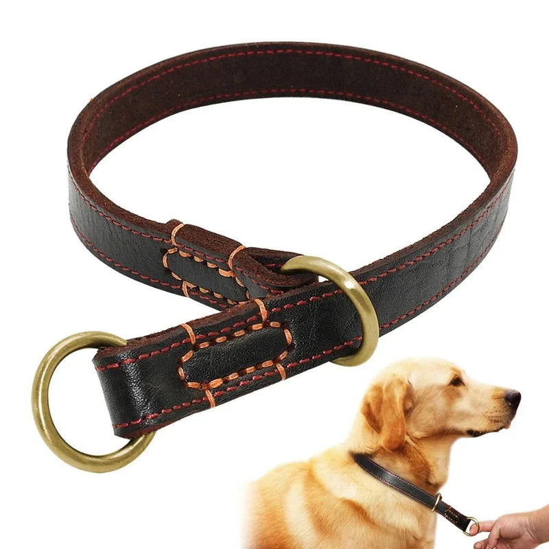 https://cdn.shopify.com/s/files/1/0647/9170/7830/files/collier-etrangleur-en-cuir-pour-grand-chien-2961475.webp?v=1777924273