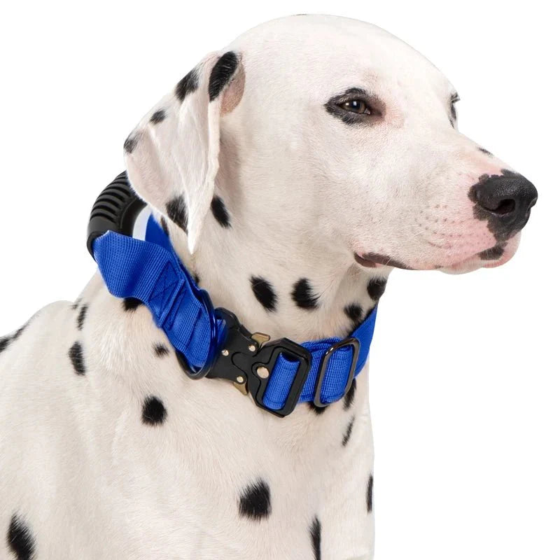 https://cdn.shopify.com/s/files/1/0647/9170/7830/files/collier-gros-chien-avec-poignee-8405140.webp?v=1777923316