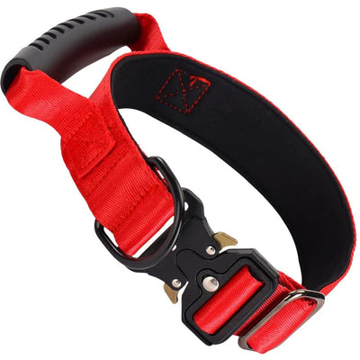 https://cdn.shopify.com/s/files/1/0647/9170/7830/files/collier-gros-chien-avec-poignee-2541519.webp?v=1777923315