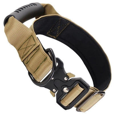 https://cdn.shopify.com/s/files/1/0647/9170/7830/files/collier-gros-chien-avec-poignee-3671000.webp?v=1777923315
