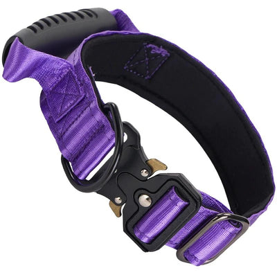 https://cdn.shopify.com/s/files/1/0647/9170/7830/files/collier-gros-chien-avec-poignee-6959777.webp?v=1777923316