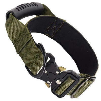 https://cdn.shopify.com/s/files/1/0647/9170/7830/files/collier-gros-chien-avec-poignee-9517355.webp?v=1777923317