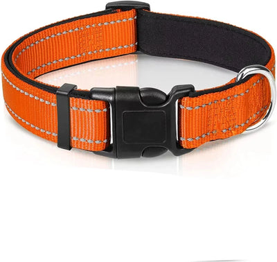 https://cdn.shopify.com/s/files/1/0647/9170/7830/files/collier-hunter-chien-9348803.webp?v=1777923430