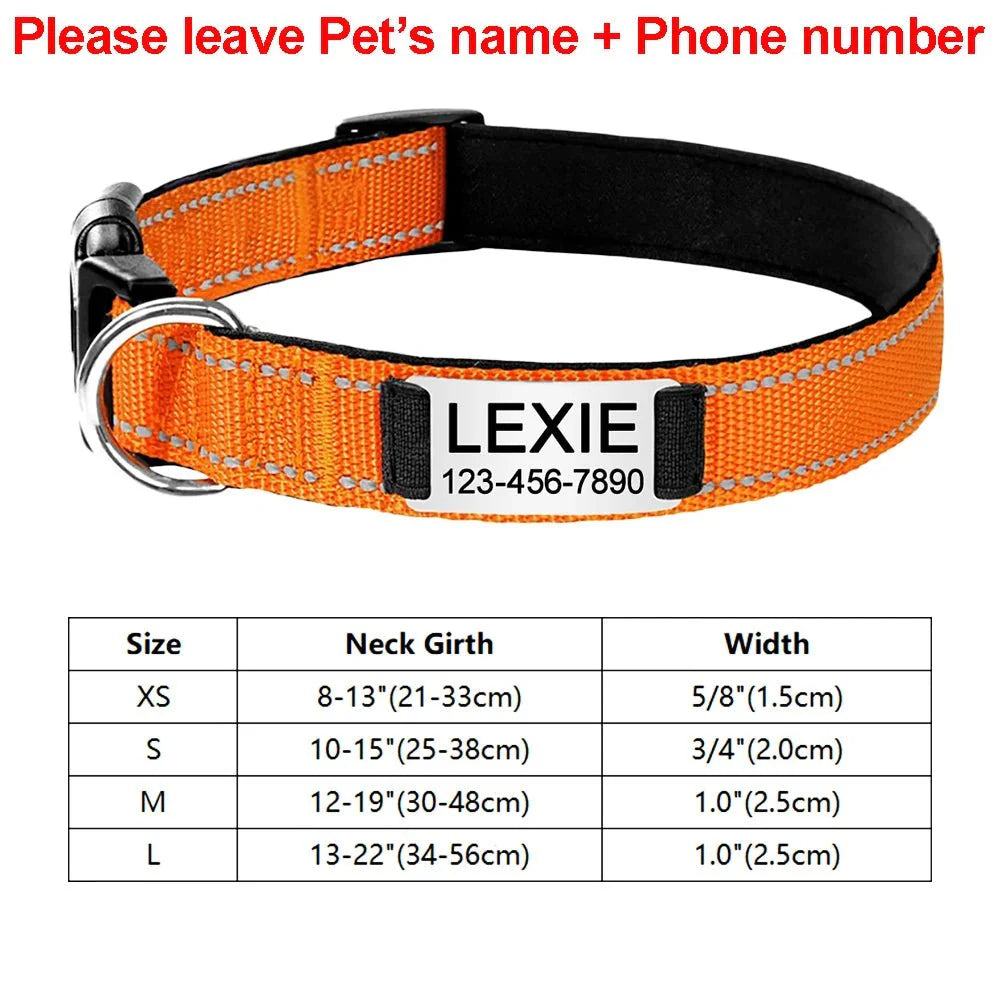 https://cdn.shopify.com/s/files/1/0647/9170/7830/files/collier-identification-chiot-1992233.webp?v=1777923794
