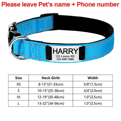 https://cdn.shopify.com/s/files/1/0647/9170/7830/files/collier-identification-chiot-3252844.webp?v=1777923793