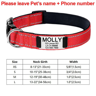 https://cdn.shopify.com/s/files/1/0647/9170/7830/files/collier-identification-chiot-4499731.webp?v=1777923794