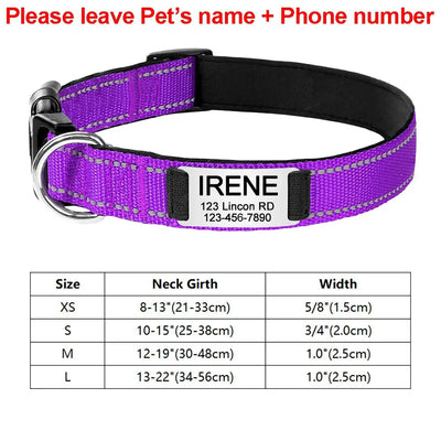https://cdn.shopify.com/s/files/1/0647/9170/7830/files/collier-identification-chiot-7592038.webp?v=1777923793