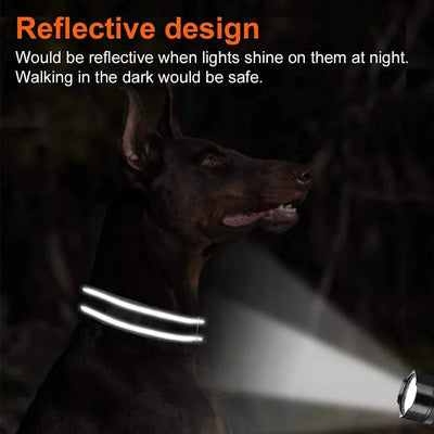 https://cdn.shopify.com/s/files/1/0647/9170/7830/files/collier-identification-chiot-8994879.webp?v=1777923794