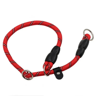 https://cdn.shopify.com/s/files/1/0647/9170/7830/files/collier-lasso-chien-2723341.webp?v=1777924278