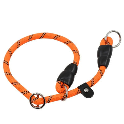 https://cdn.shopify.com/s/files/1/0647/9170/7830/files/collier-lasso-chien-3903731.webp?v=1777924278