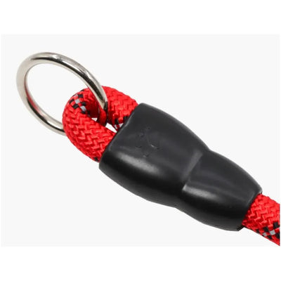https://cdn.shopify.com/s/files/1/0647/9170/7830/files/collier-lasso-chien-5744049.webp?v=1777924279