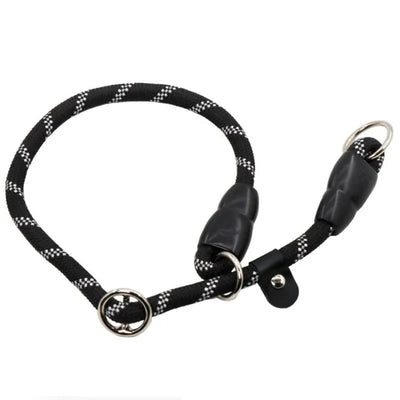https://cdn.shopify.com/s/files/1/0647/9170/7830/files/collier-lasso-chien-5959715.webp?v=1777924278